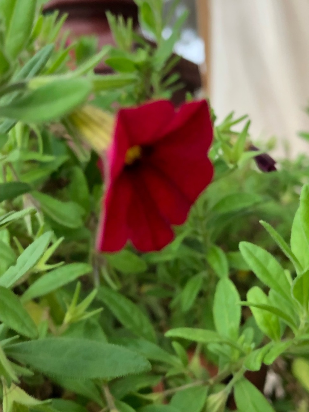 Meet your Posher, Malgorzata